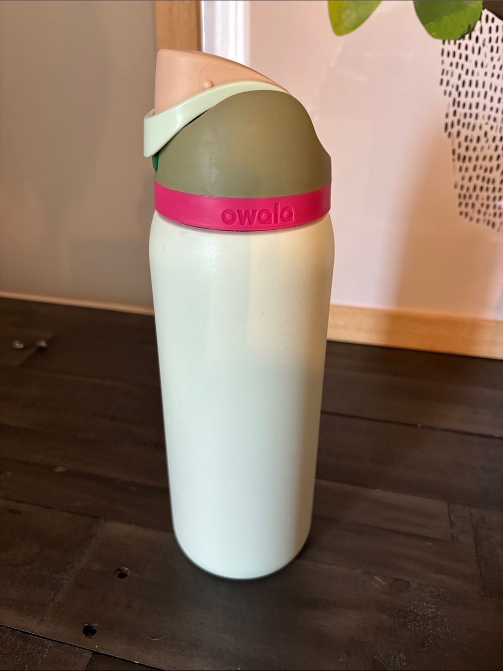 Owala Mint & Pink Stainless Water Bottle with Easy-Open Spout 32oz